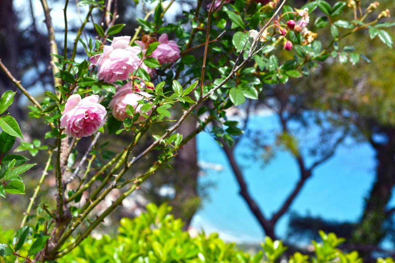 Torre Alpicella Holiday Home, A Scenic Escape Into Nature And Relaxation Diano Marina Exterior photo